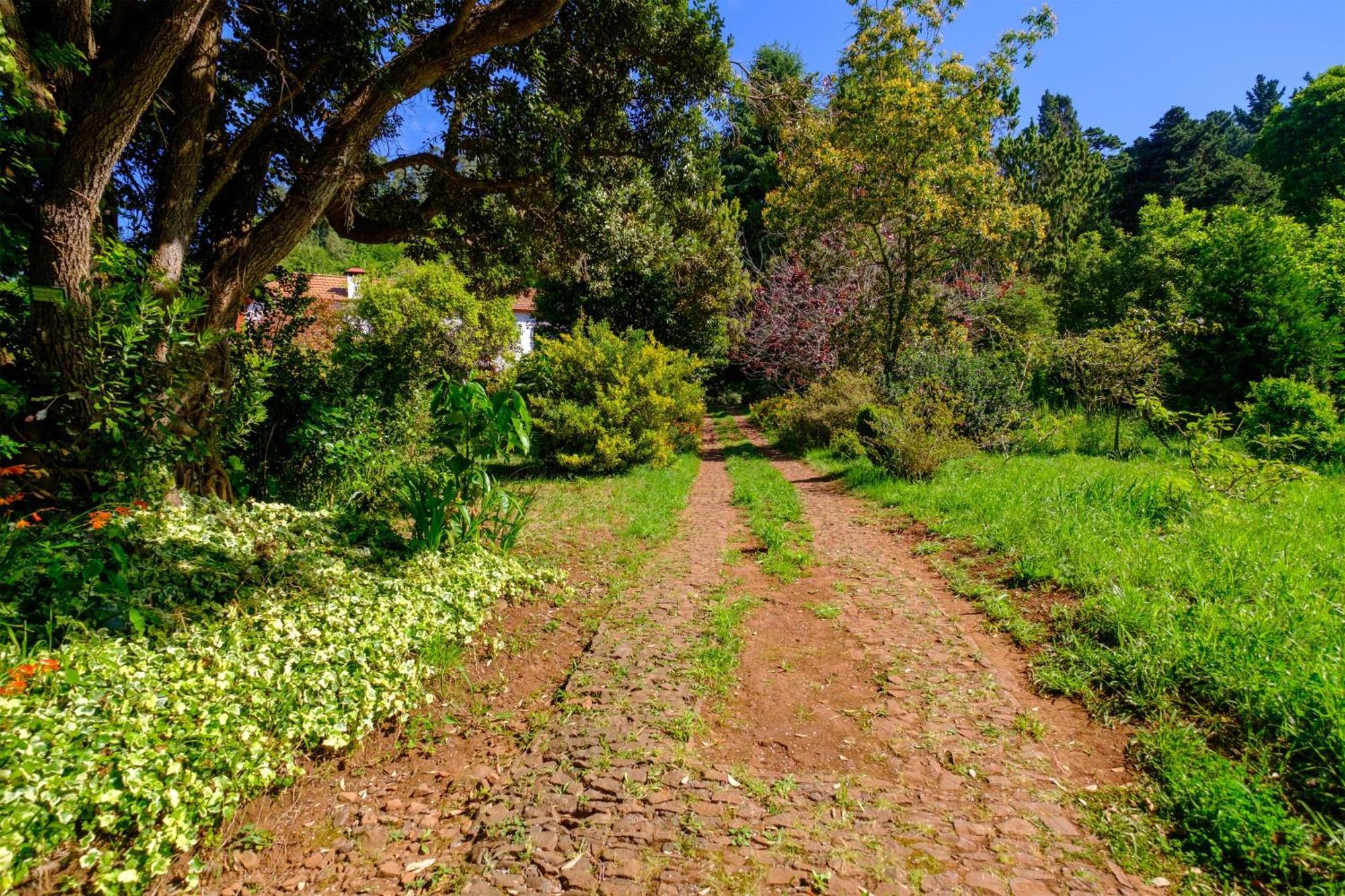 Valle Paraizo Camacha (Madeira)