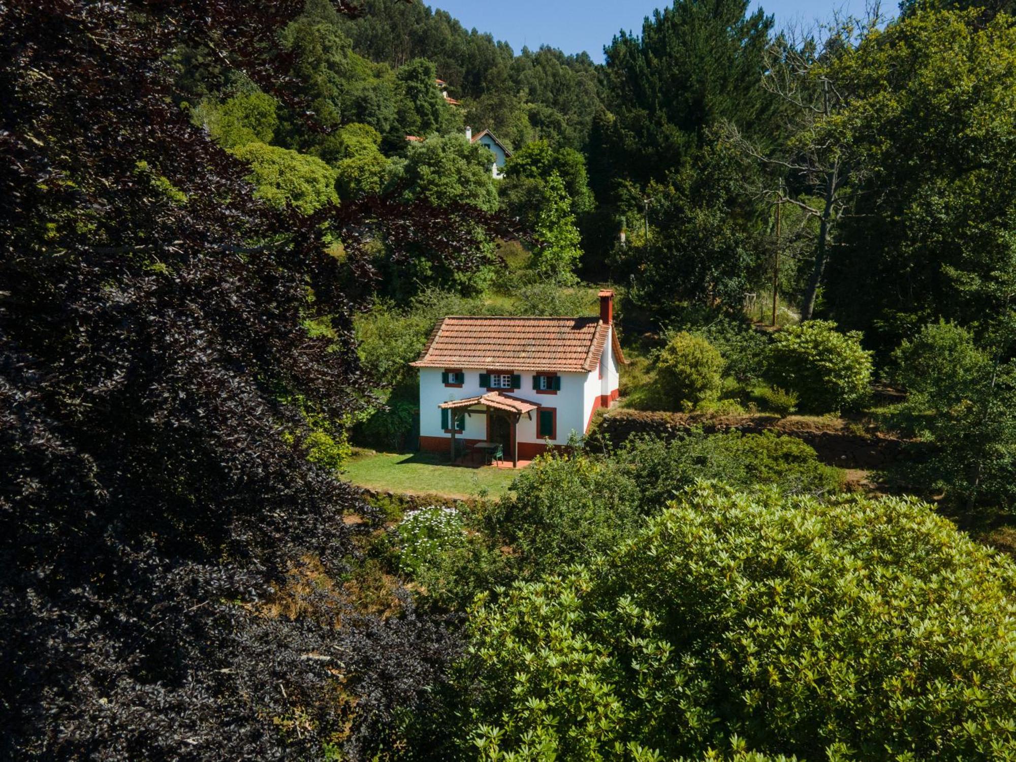 Valle Paraizo Camacha (Madeira)