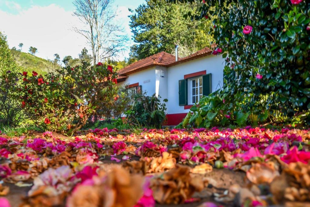 Valle Paraizo Camacha (Madeira)