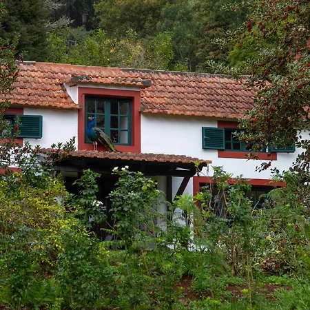 Valle Paraizo Camacha  Extérieur photo