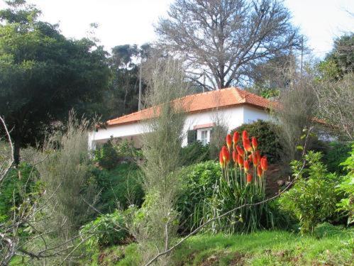 Valle Paraizo Country house