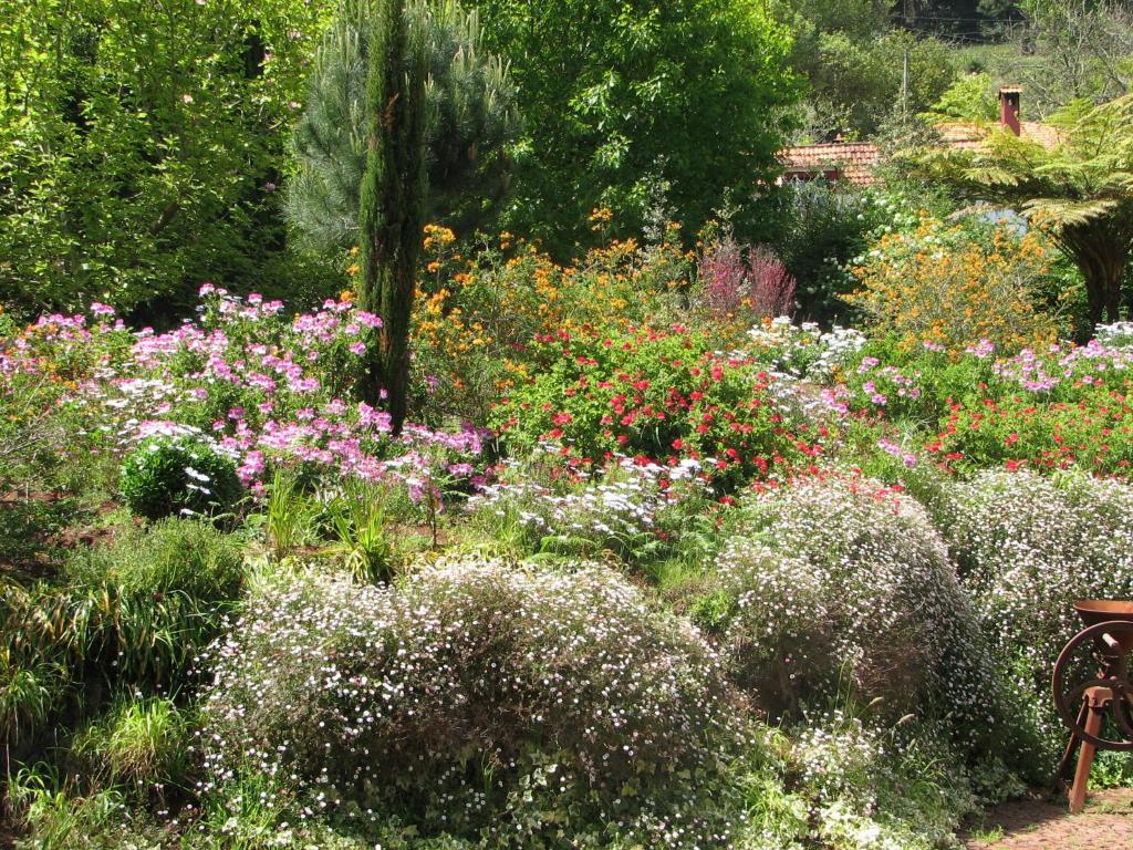 Country house Valle Paraizo *