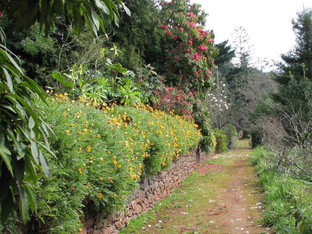 Valle Paraizo Country house *