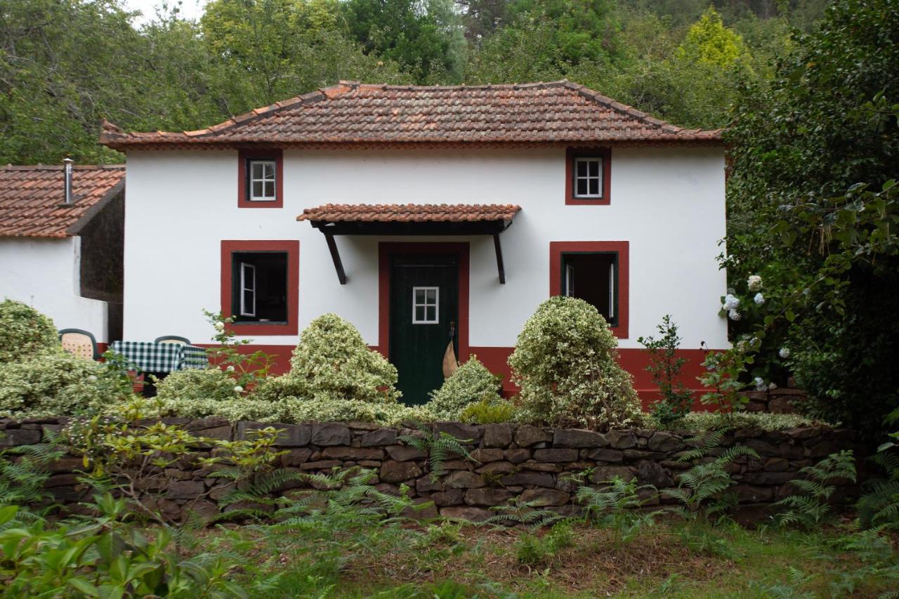 Valle Paraizo * Camacha (Madeira)